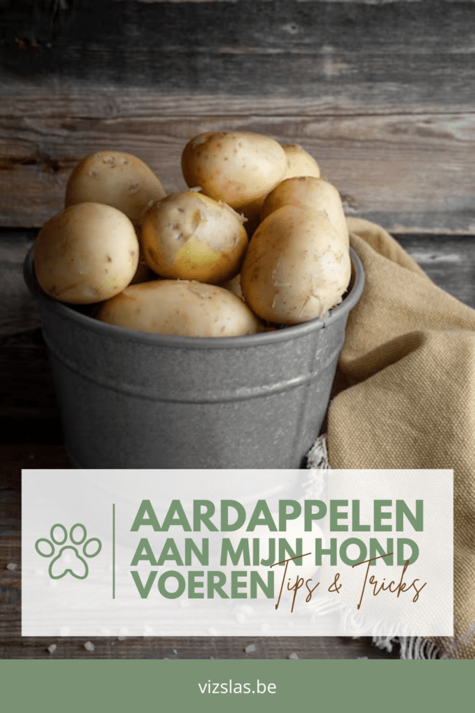 mag je hond aardappelen eten? 