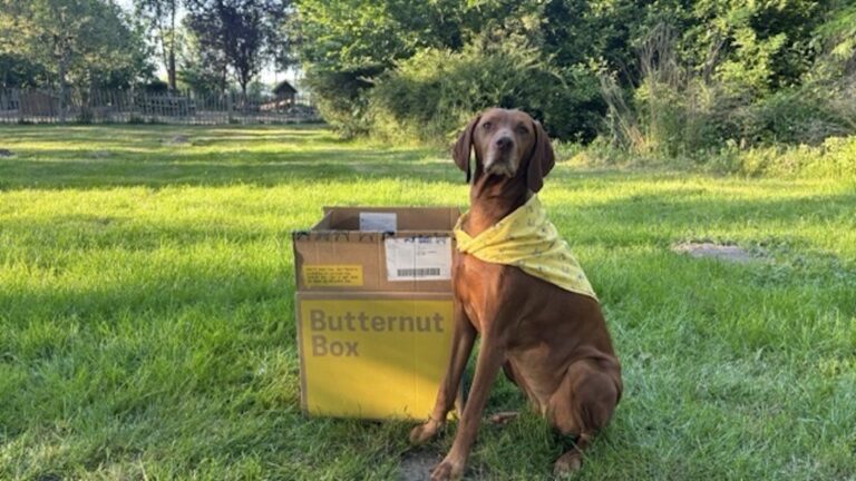 Butternut Box persoonlijke ervaring