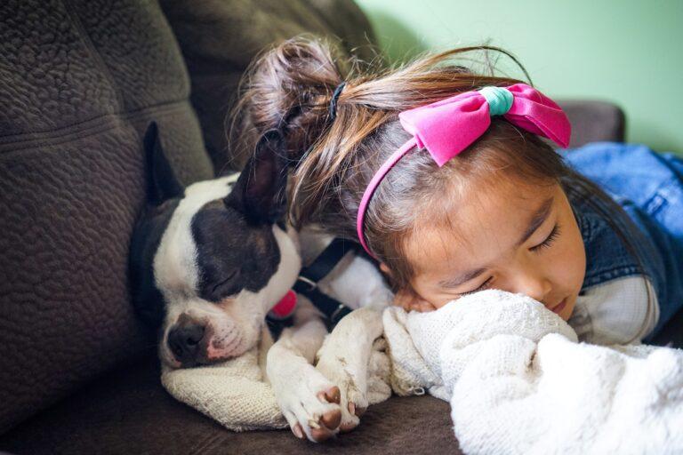 hond slapend met meisje. Kindvriendelijke hondenrassen.