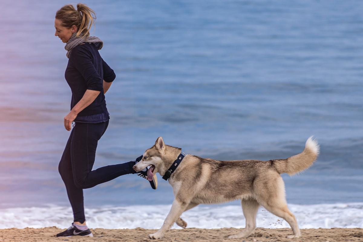 Vrouw aan het hardlopen met een husky op het strand