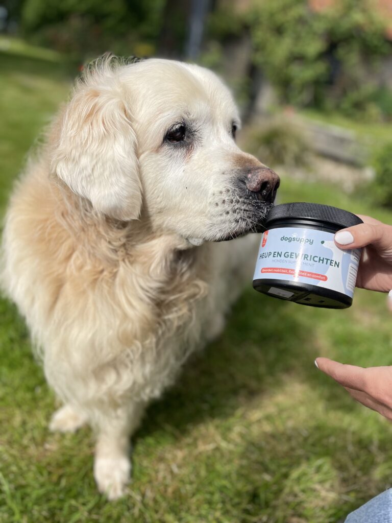 Dogsuppy heup en gewrichten supplement review