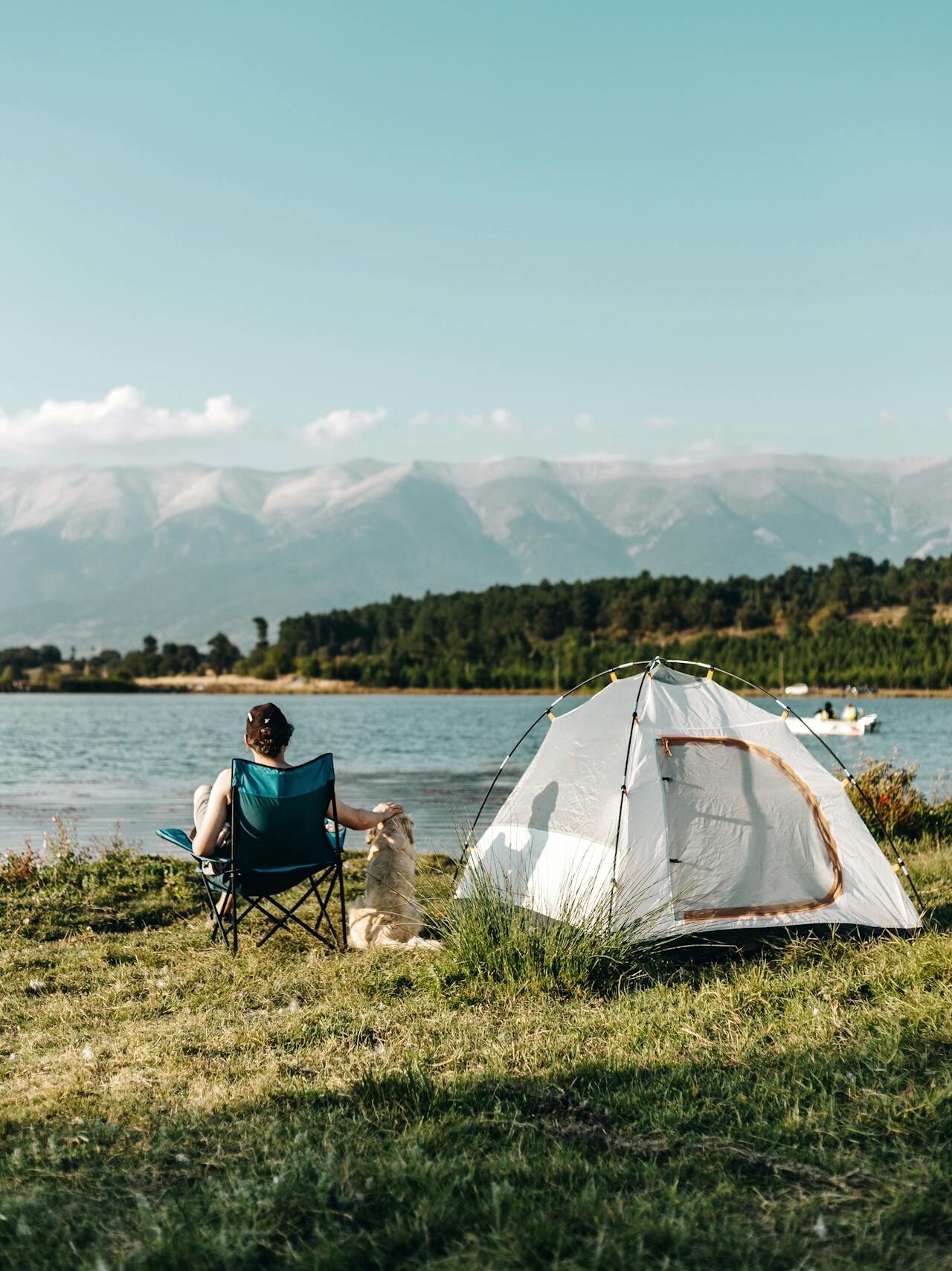 kamperen met je hond in de tent