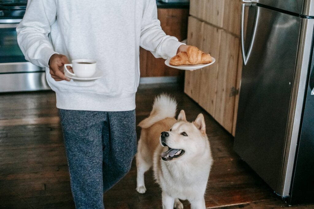 hond die mee eet van tafel