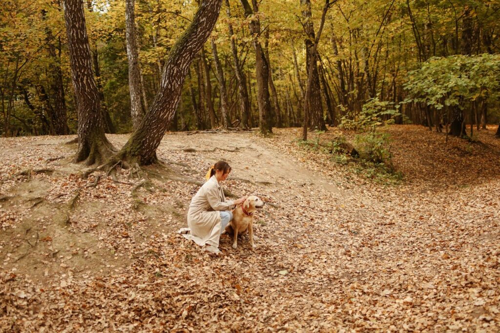 herfstwandeling met hond