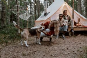 kamperen met je hond